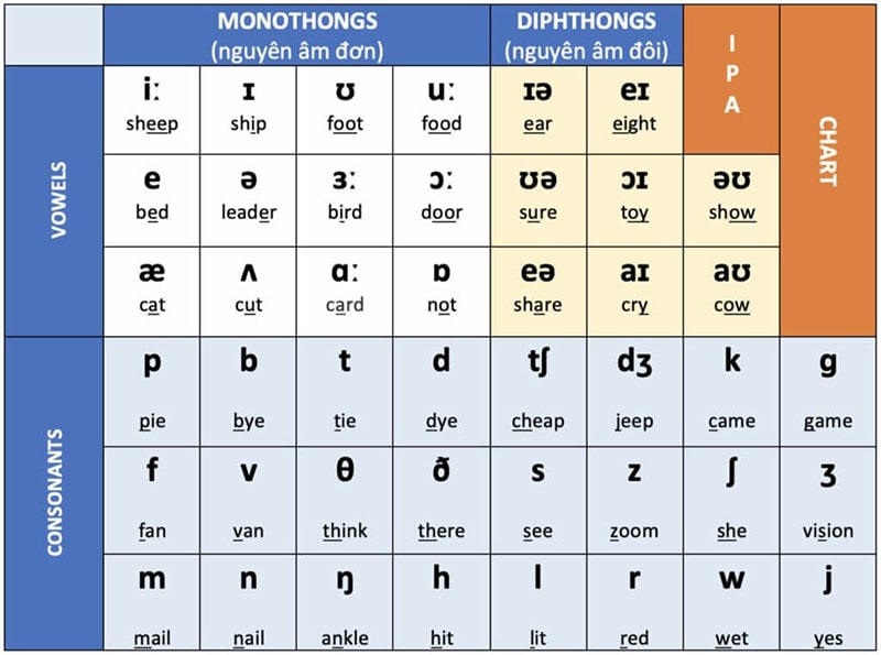 Bảng phiên âm tiếng Anh IPA: Quy tắc & cách phát âm đúng chuẩn