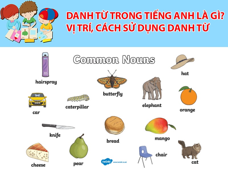 Danh từ trong tiếng Anh là gì? Vị trí, cách sử dụng danh từ