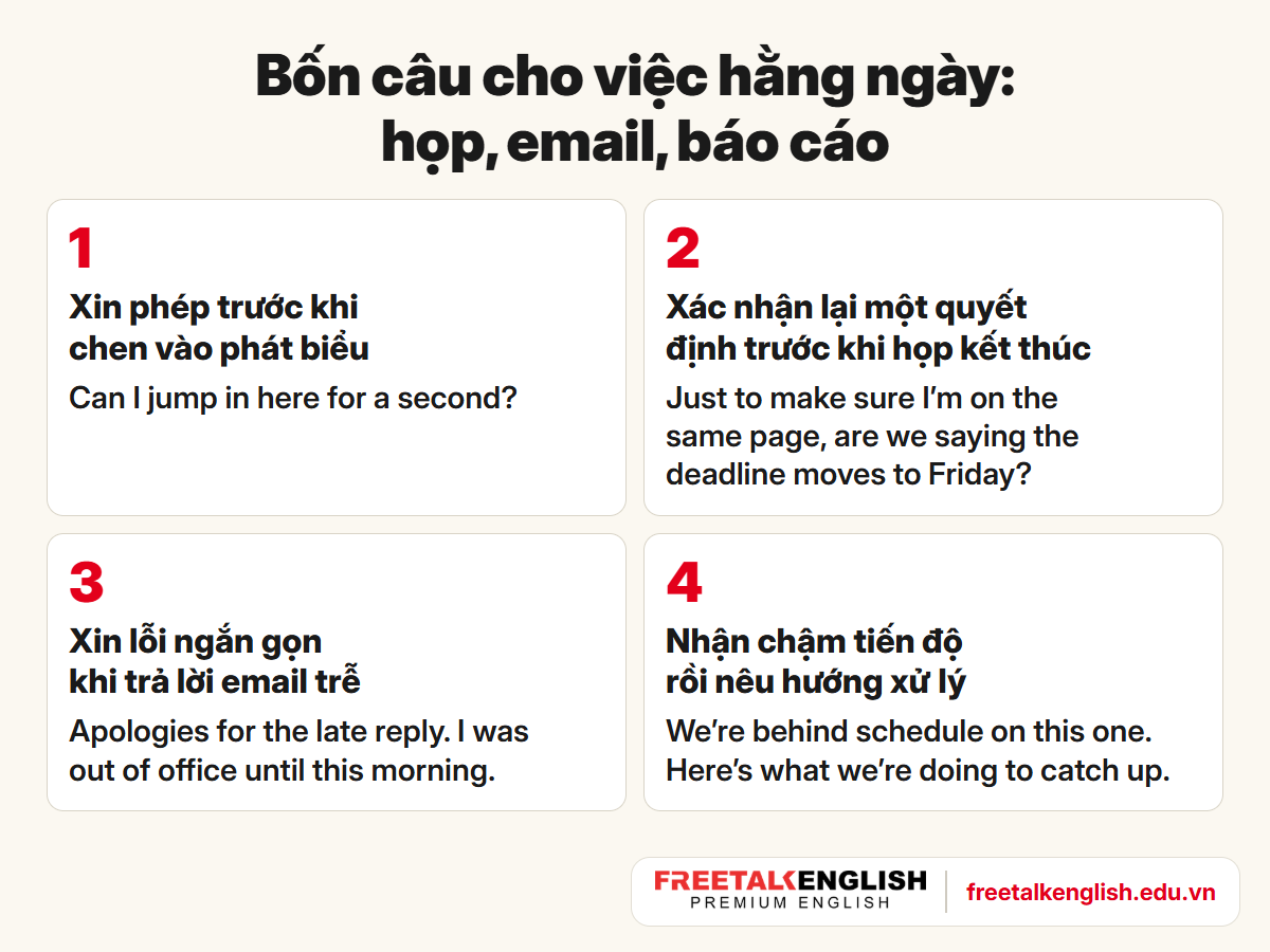 Mẫu câu giao tiếp tiếng Anh công sở cho việc hằng ngày: chen vào phát biểu, xác nhận, xin lỗi email trễ, báo chậm tiến độ