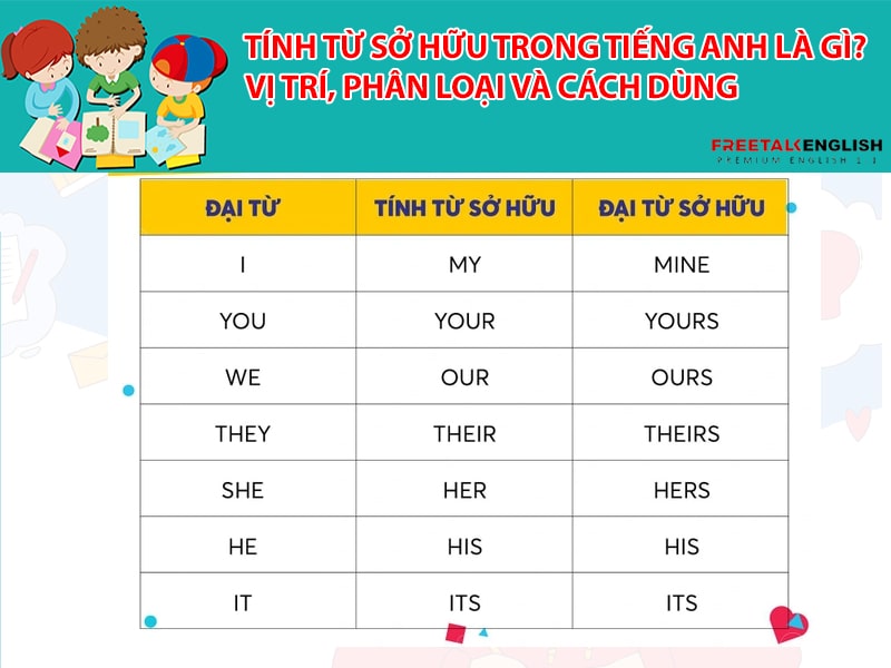 Tính từ sở hữu trong tiếng Anh là gì? Vị trí, phân loại và cách dùng