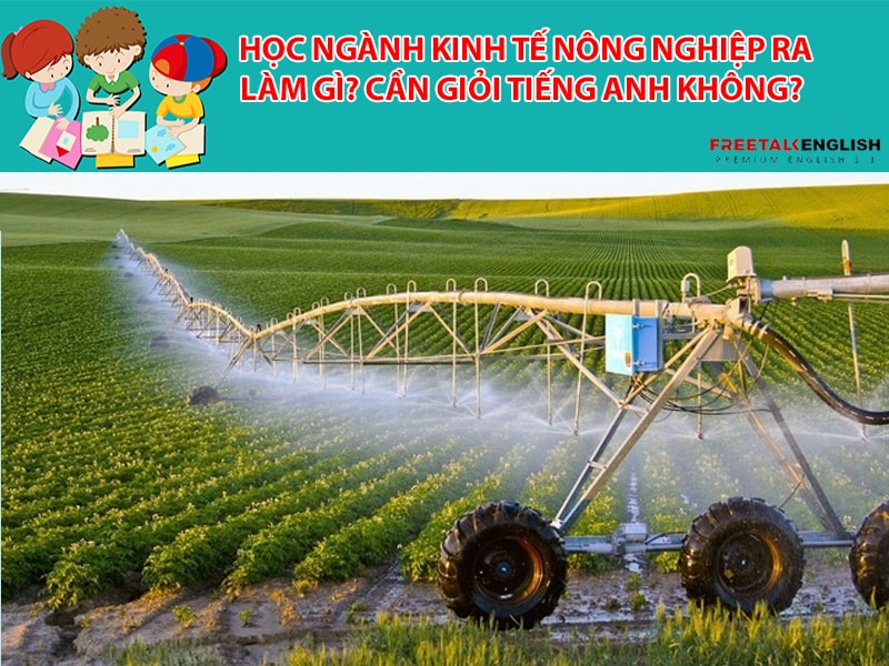 Học ngành Kinh tế nông nghiệp ra làm gì? Cần giỏi Tiếng Anh không?