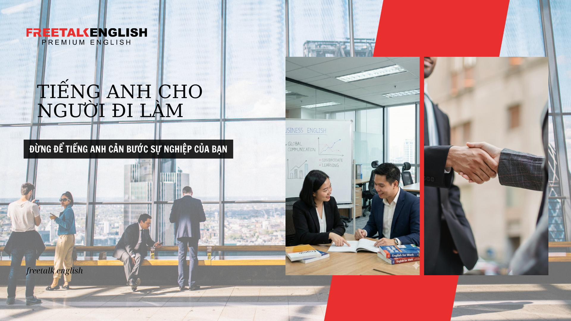 Tiếng Anh Cho Người Đi Làm: Cách Thiết Kế Lộ Trình Học Tiếng Anh Cho Người Mất Gốc – Từ “Nỗi Ám Ảnh” Đến “Vũ Khí” Thăng Tiến